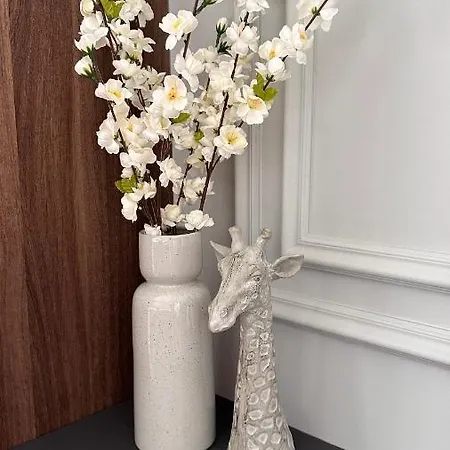 Dom Boutique - * בלגרד